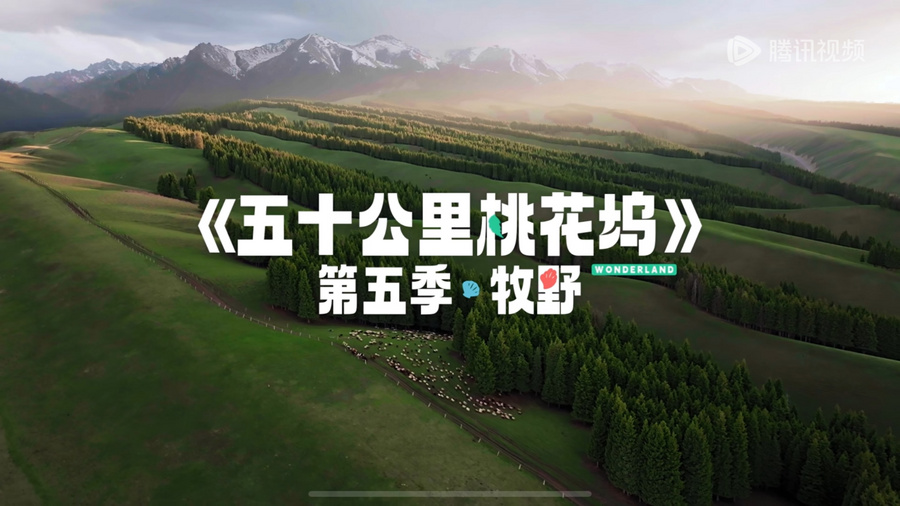 《五十公里桃花坞5》超前剧透篇上线 宁静、汪峰挑战陌生人社交实验封面图